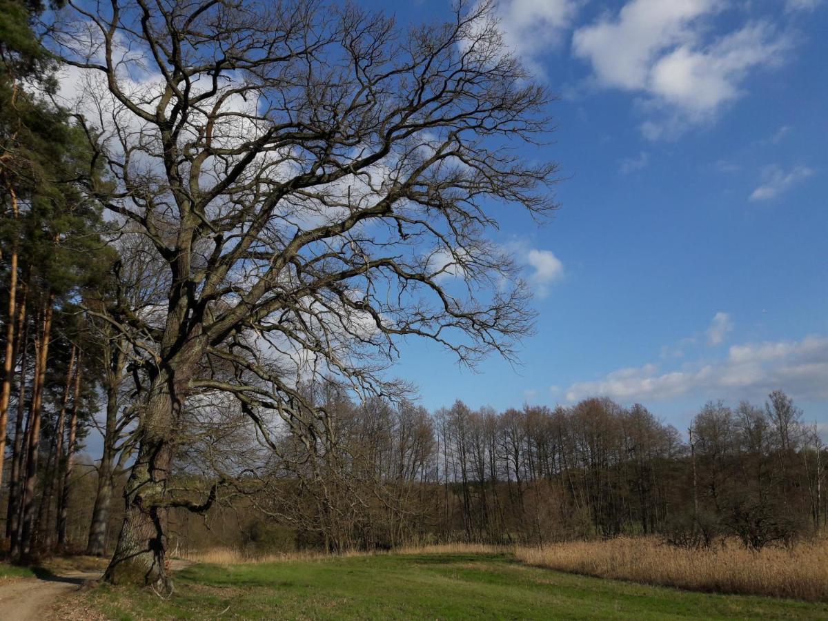 Mirabellenhof-Fewo Mit Terrasse Biesenthal Eksteriør bilde